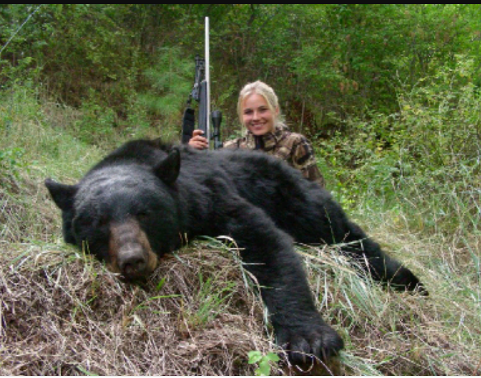Alaska Brown Bear and Black Bear Hunting
